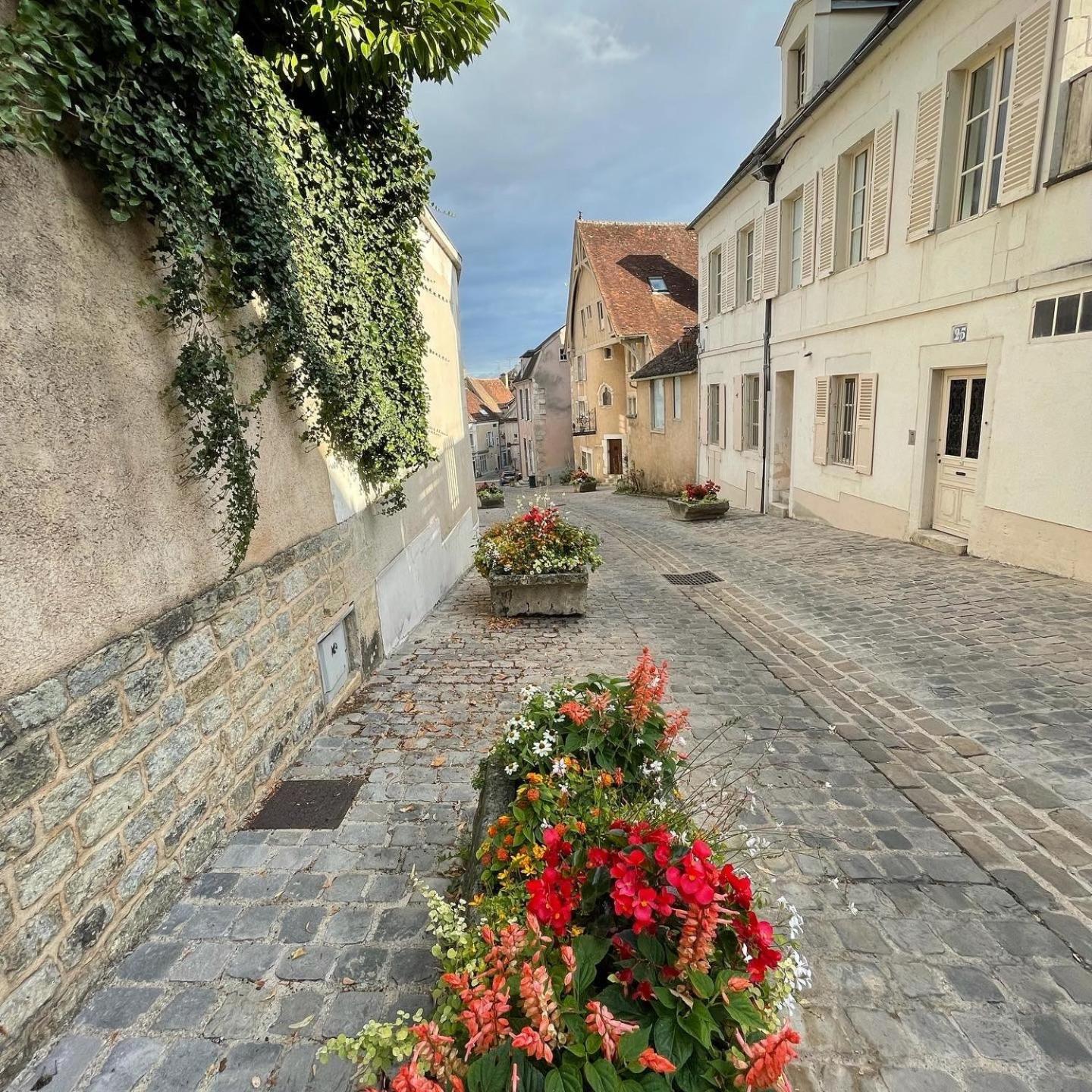 Apartmán Le Pigeonnier Centre Historique Auxerre Exteriér fotografie